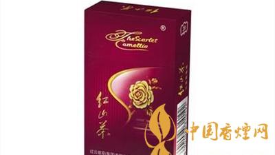 紅山茶紫市值多少錢？紅山茶紫口味如何？