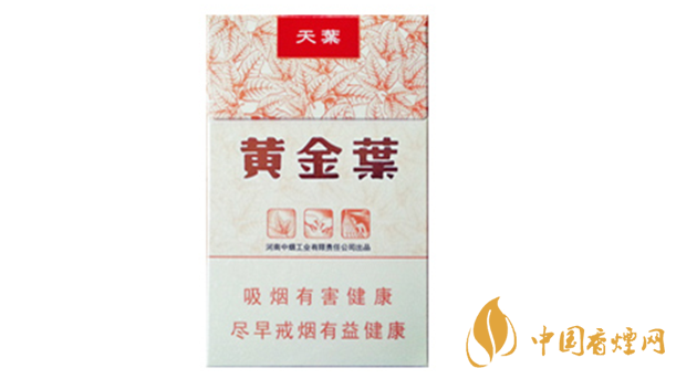 黃金葉天葉真?zhèn)卧趺幢鎰e？天葉真假如何看？