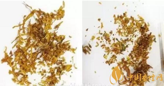 冬蟲夏草（和潤）真假鑒別，春節(jié)防止被騙