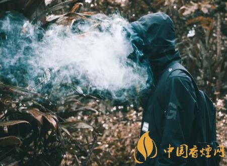 未成年人吸煙有什么危害 青少年吸煙對身體的危害介紹！